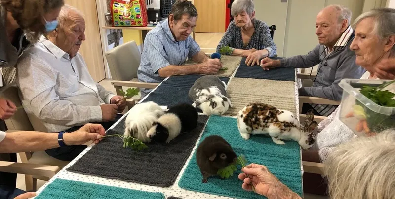 Professionnel certifié en médiation animale lors d'une formation pratique avec différents animaux thérapeutiques dans un centre de formation spécialisé