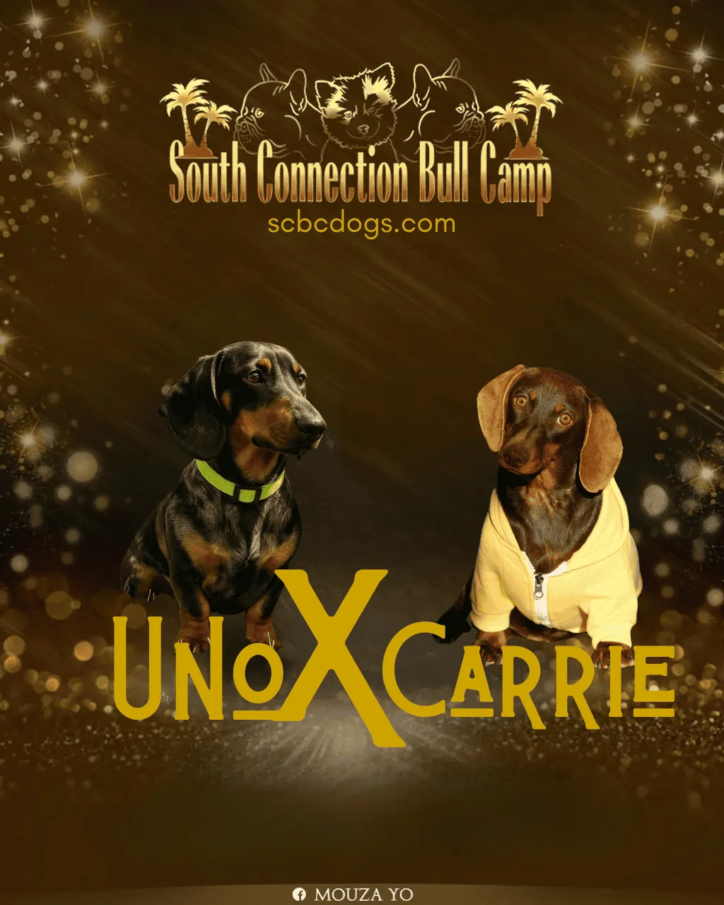 Mariage entre Nono et Carrie